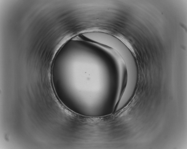 X0000096660813200803041159