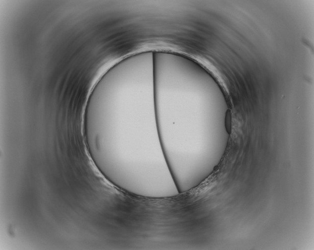 X0000096660815200803041159