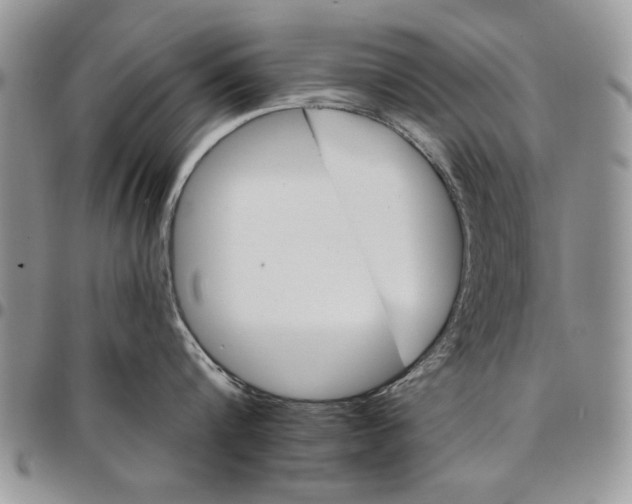 X0000096660816200803041159