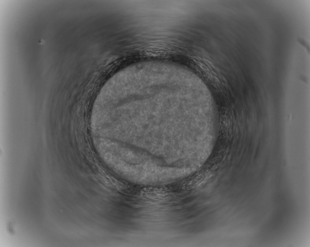 X0000096660817200803041158