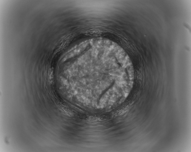 X0000096660818200803041158