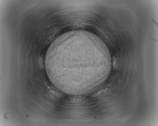 X0000096660819200803041158