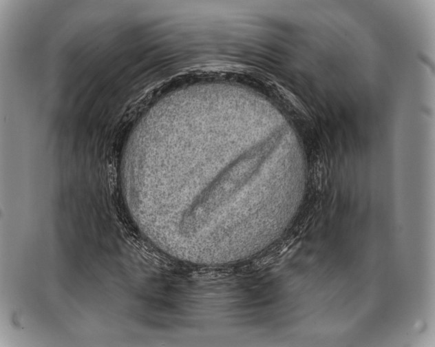 X0000096660821200803041158