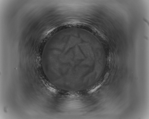 X0000096660822200803041159