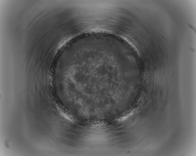 X0000096660823200803041159