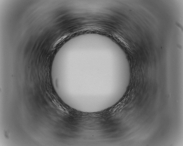 X0000096660824200803041159