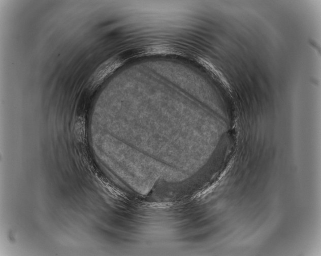 X0000096660825200803041159