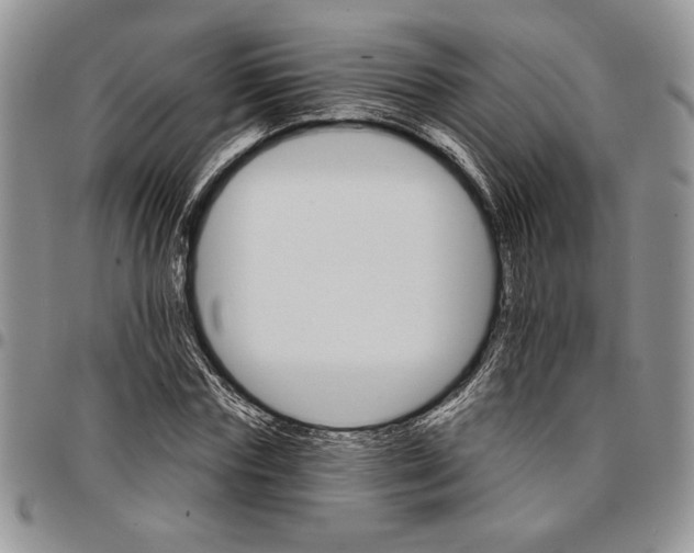 X0000096660827200803041159