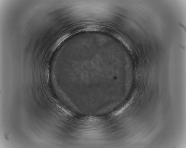 X0000096660829200803041159