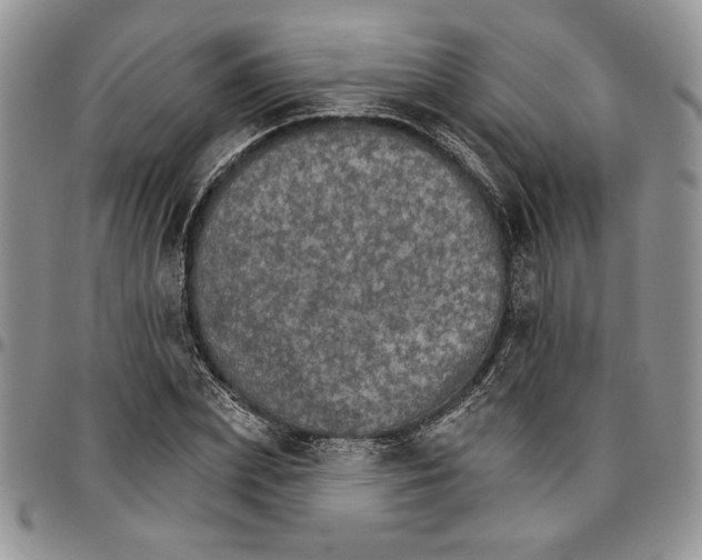 X0000096660831200803041159