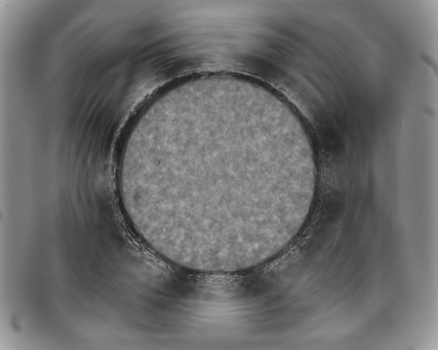 X0000096660832200803041159