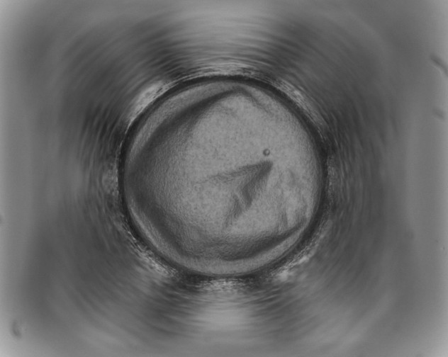 X0000096660834200803041159