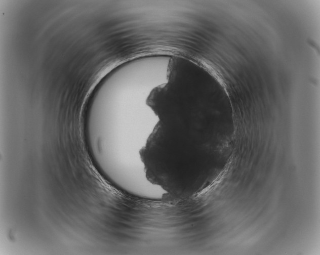 X0000096660835200803041159