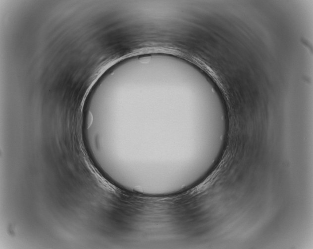 X0000096660836200803041159