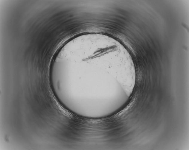 X0000096660837200803041159