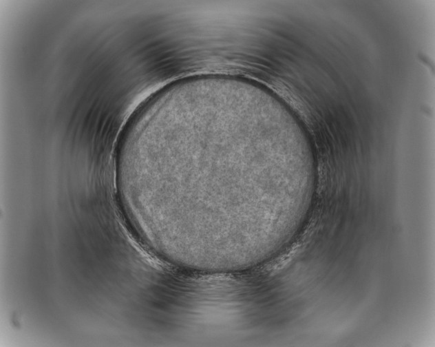 X0000096660838200803041159