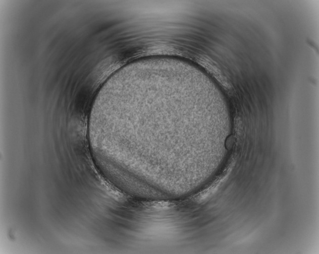 X0000096660841200803041159