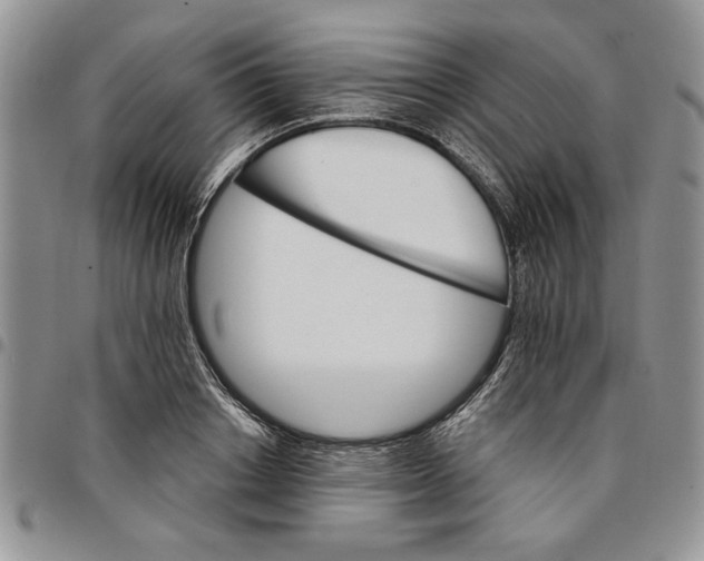 X0000096660842200803041159