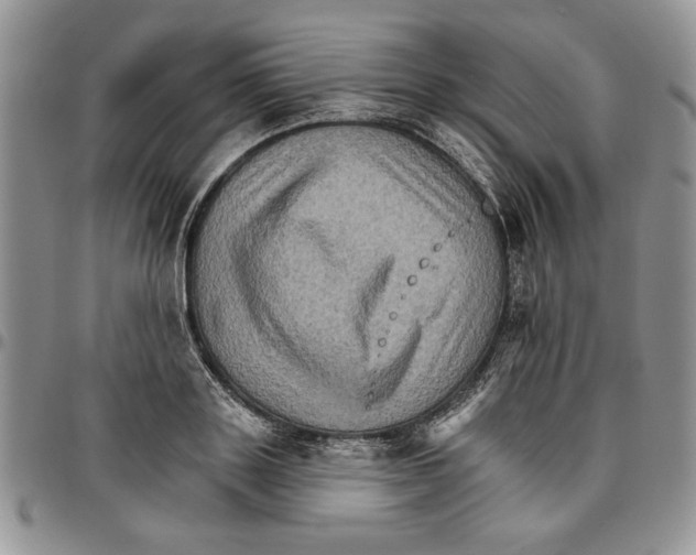 X0000096660843200803041159