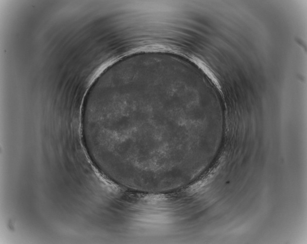 X0000096660845200803041159