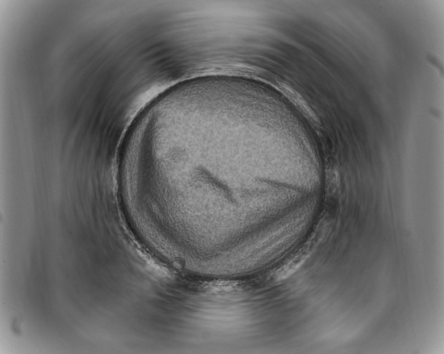 X0000096660846200803041159