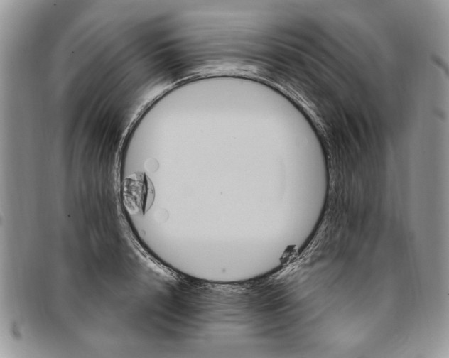 X0000096660848200803041159