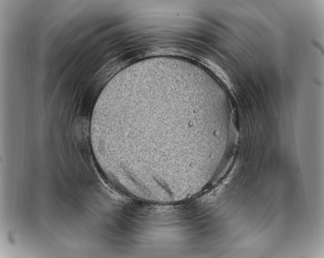 X0000096660849200803041159