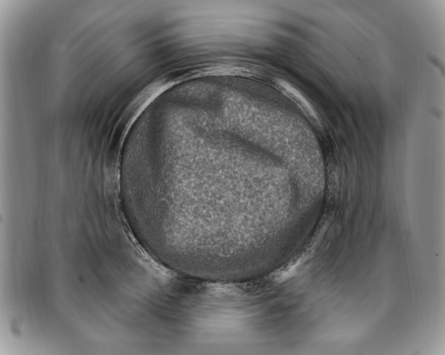 X0000096660852200803041159