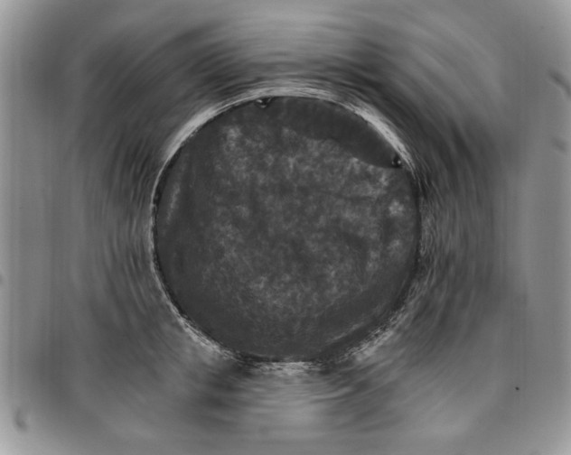 X0000096660853200803041159