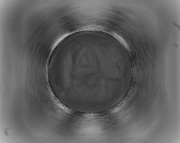 X0000096660854200803041159