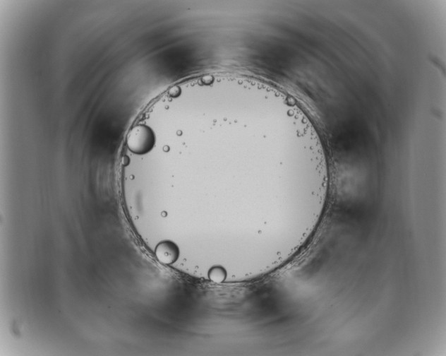 X0000096660856200803041159