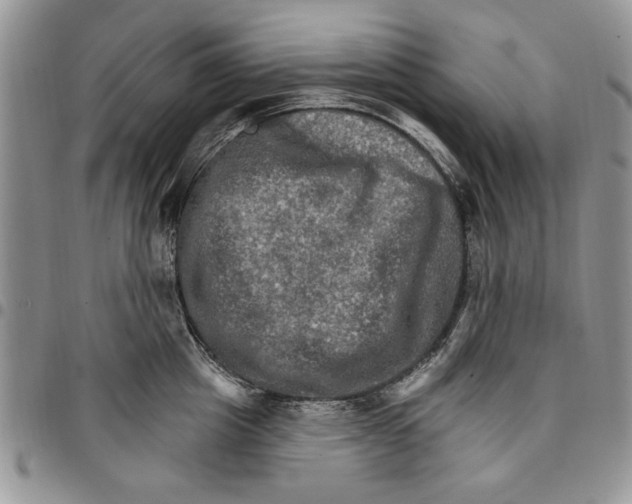 X0000096660857200803041159