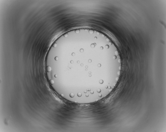 X0000096660858200803041159