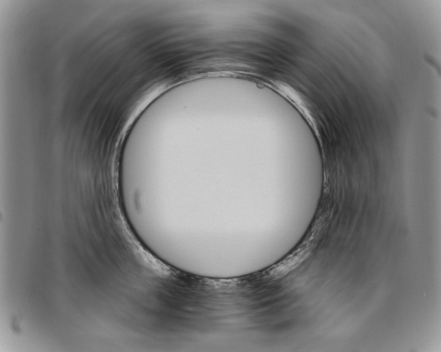 X0000096660859200803041159