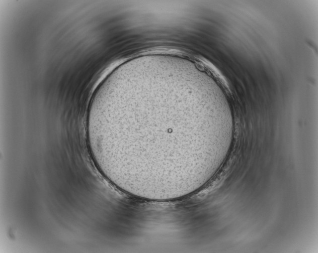 X0000096660860200803041159