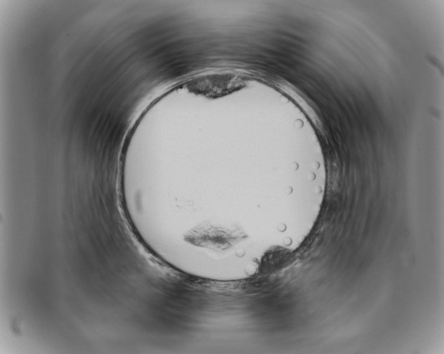 X0000096660861200803041159