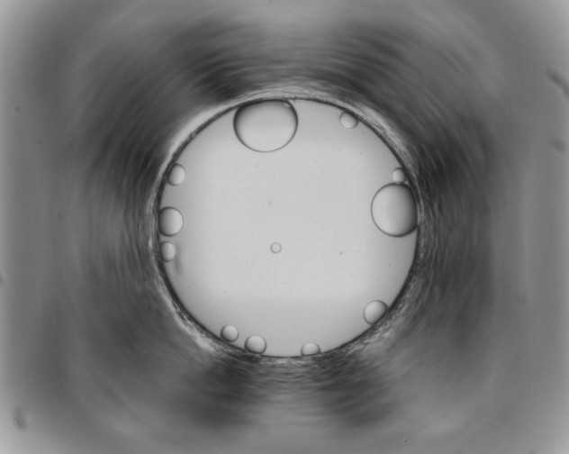 X0000096660862200803041159