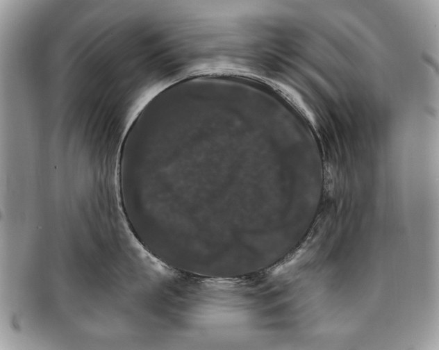 X0000096660863200803041159