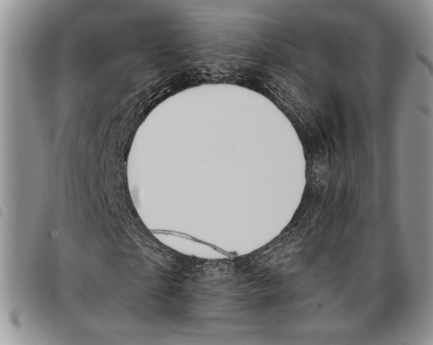 X0000096660865200803041158