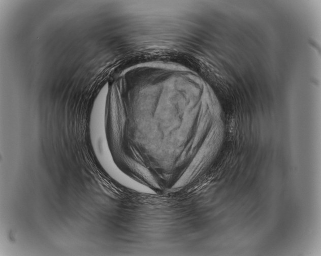 X0000096660868200803041158