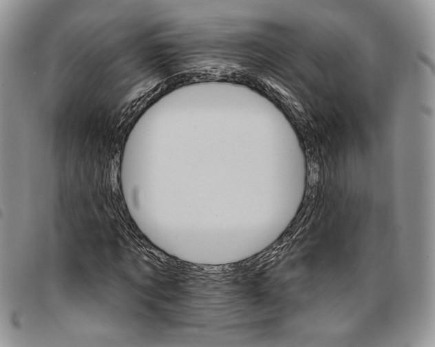 X0000096660869200803041158