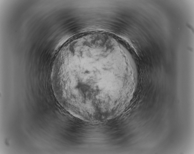 X0000096660871200803041158