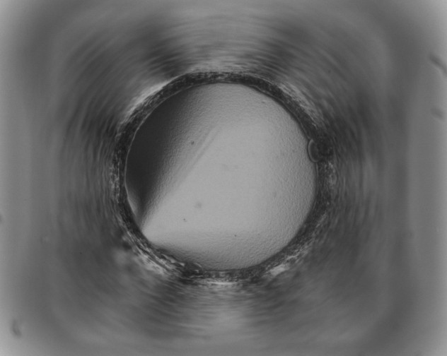 X0000096660872200803041158