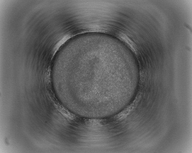 X0000096660875200803041158