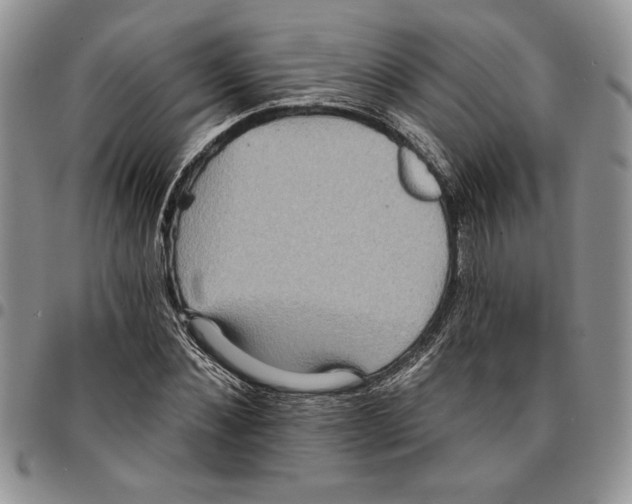 X0000096660876200803041158