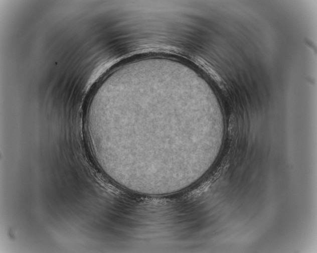 X0000096660877200803041158