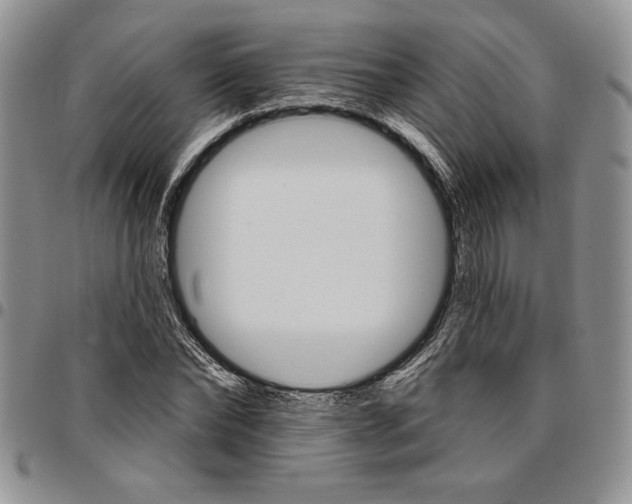 X0000096660878200803041158