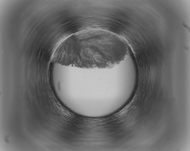 X0000096660879200803041158