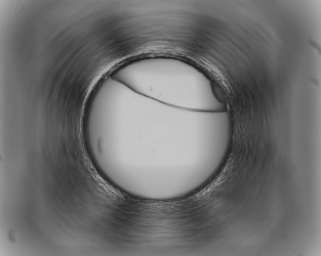 X0000096660880200803041158