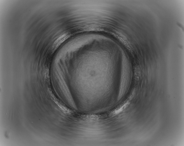 X0000096660881200803041158